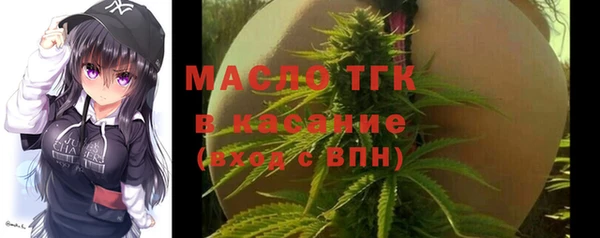 дмт Алексин