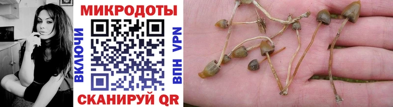 Галлюциногенные грибы Magic Shrooms  Омутнинск 
